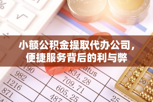 南湖小额公积金提取代办公司，便捷服务背后的利与弊