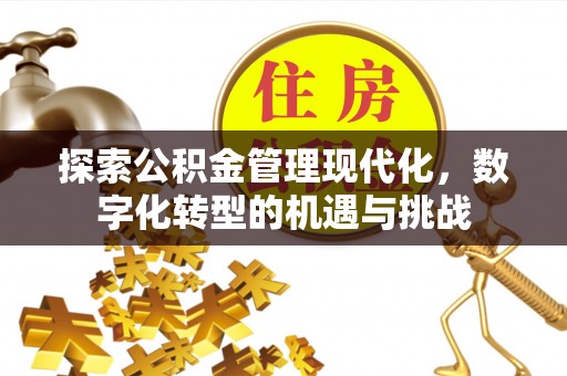 南湖探索公积金管理现代化，数字化转型的机遇与挑战