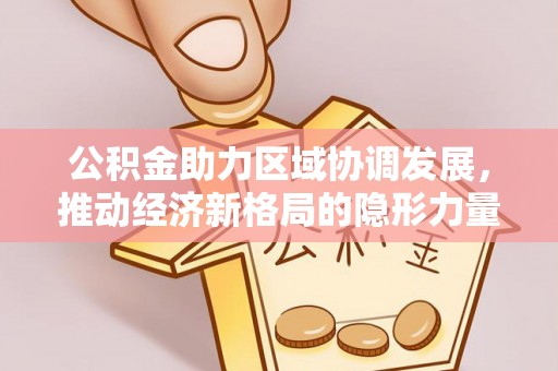 南湖公积金助力区域协调发展，推动经济新格局的隐形力量