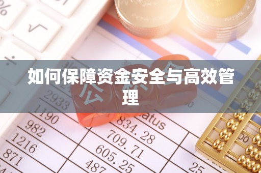 南湖如何保障资金安全与高效管理