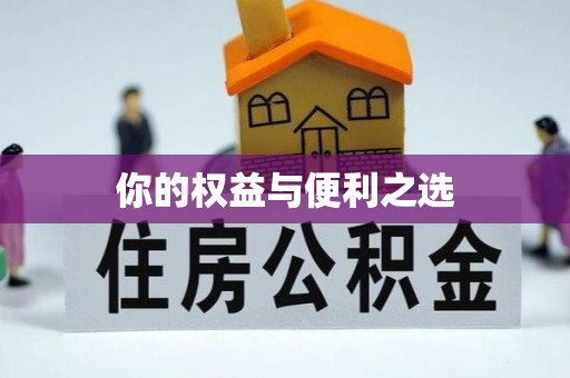 南湖你的权益与便利之选