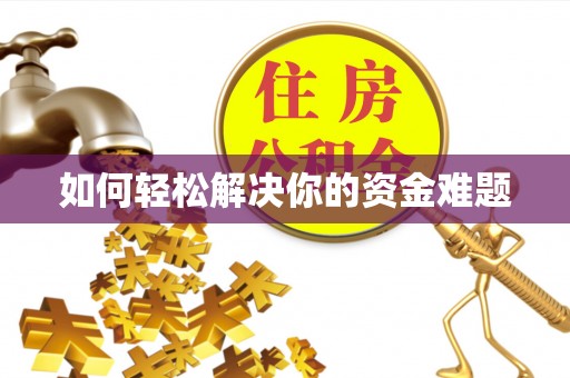 南湖如何轻松解决你的资金难题