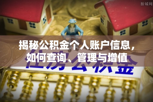 南湖揭秘公积金个人账户信息，如何查询、管理与增值