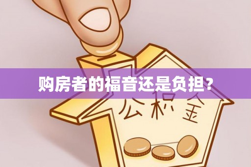 南湖购房者的福音还是负担？