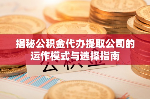 南湖揭秘公积金代办提取公司的运作模式与选择指南
