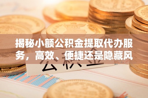 南湖揭秘小额公积金提取代办服务，高效、便捷还是隐藏风险？