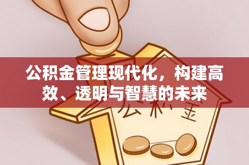 南湖公积金管理现代化，构建高效、透明与智慧的未来
