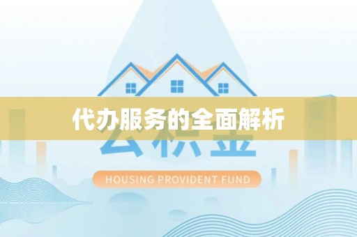 南湖代办服务的全面解析