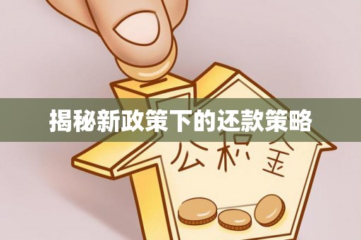 南湖揭秘新政策下的还款策略