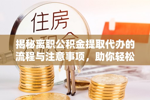 南湖揭秘离职公积金提取代办的流程与注意事项，助你轻松拿回属于你的钱！
