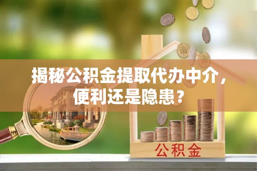 南湖揭秘公积金提取代办中介，便利还是隐患？