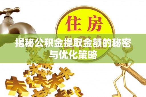 南湖揭秘公积金提取金额的秘密与优化策略