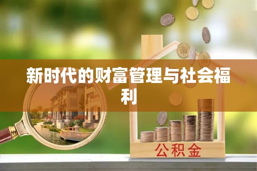 南湖新时代的财富管理与社会福利
