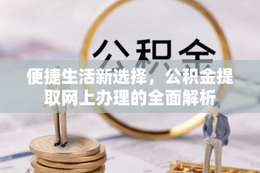 南湖便捷生活新选择，公积金提取网上办理的全面解析