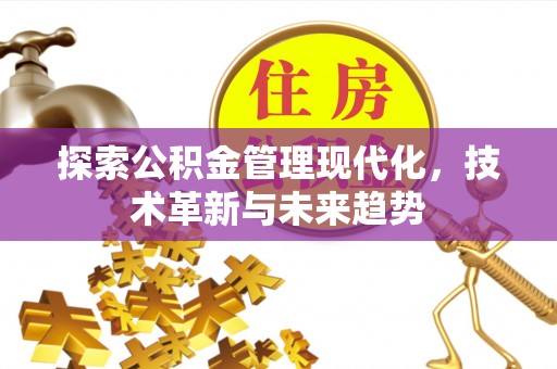 南湖探索公积金管理现代化，技术革新与未来趋势