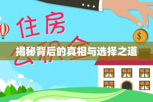 南湖揭秘背后的真相与选择之道