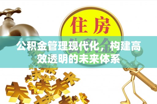 南湖公积金管理现代化，构建高效透明的未来体系