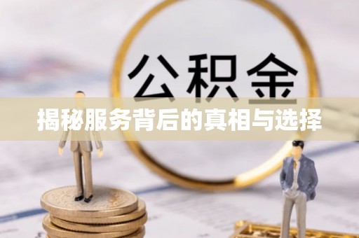 南湖揭秘服务背后的真相与选择