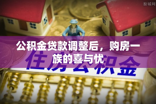 南湖公积金贷款调整后，购房一族的喜与忧