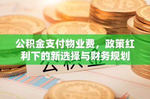 南湖公积金支付物业费，政策红利下的新选择与财务规划