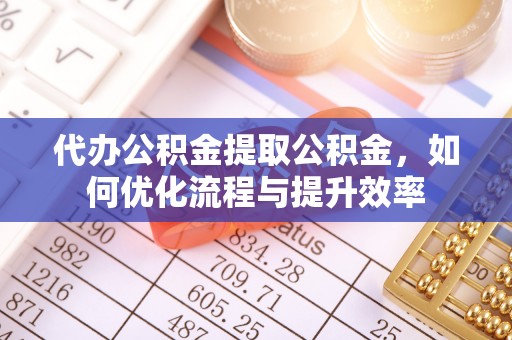 南湖代办公积金提取公积金，如何优化流程与提升效率