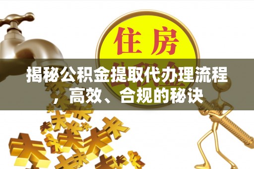 南湖揭秘公积金提取代办理流程，高效、合规的秘诀