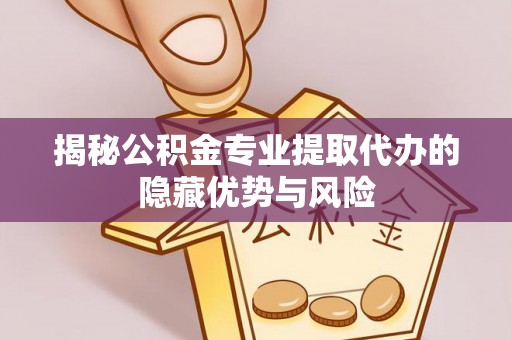 南湖揭秘公积金专业提取代办的隐藏优势与风险