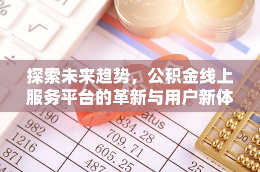 南湖探索未来趋势，公积金线上服务平台的革新与用户新体验