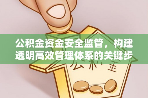 南湖公积金资金安全监管，构建透明高效管理体系的关键步骤