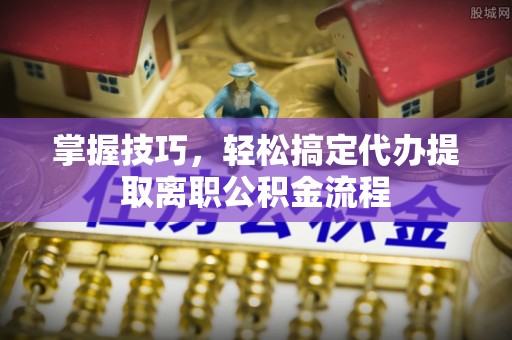 南湖掌握技巧，轻松搞定代办提取离职公积金流程
