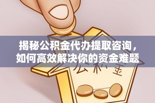 南湖揭秘公积金代办提取咨询，如何高效解决你的资金难题