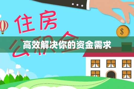 南湖高效解决你的资金需求
