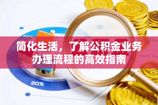 南湖简化生活，了解公积金业务办理流程的高效指南