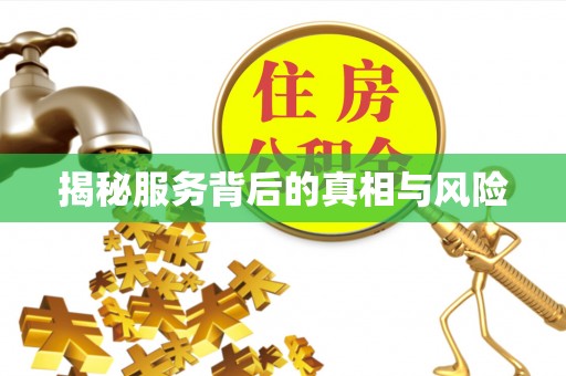 南湖揭秘服务背后的真相与风险