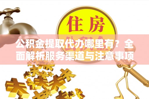 南湖公积金提取代办哪里有？全面解析服务渠道与注意事项