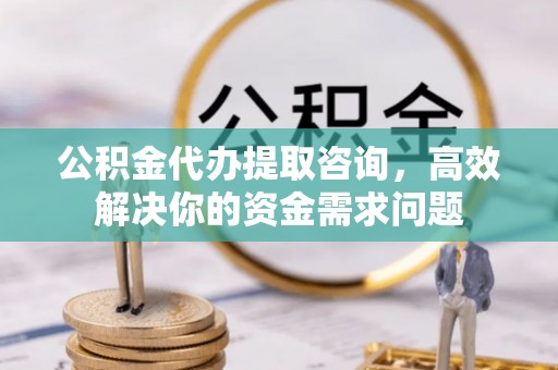 南湖公积金代办提取咨询，高效解决你的资金需求问题