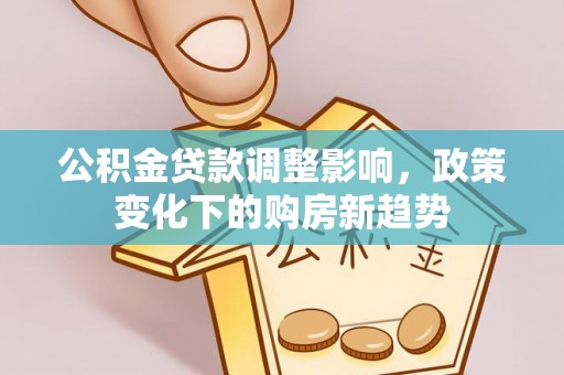 南湖公积金贷款调整影响，政策变化下的购房新趋势