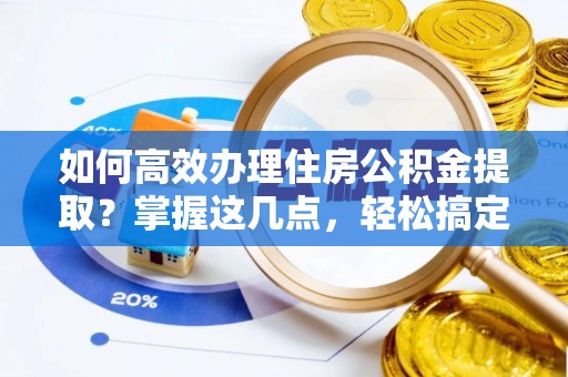 南湖如何高效办理住房公积金提取？掌握这几点，轻松搞定！