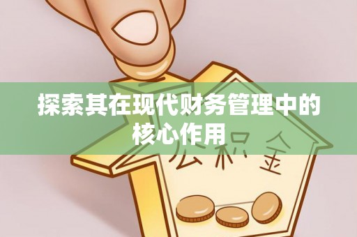 南湖探索其在现代财务管理中的核心作用