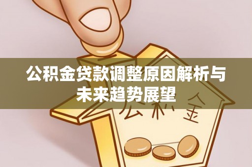 南湖公积金贷款调整原因解析与未来趋势展望