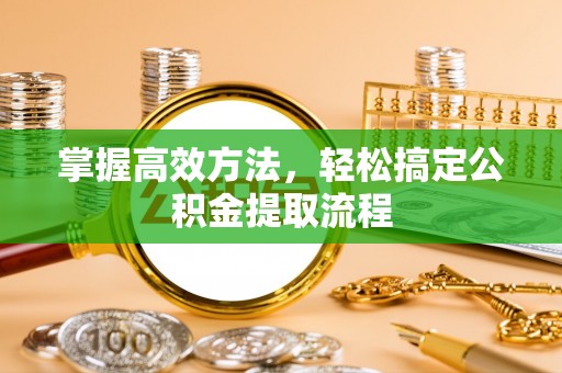 南湖掌握高效方法，轻松搞定公积金提取流程