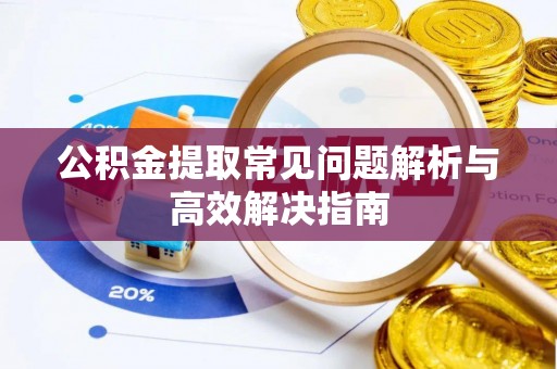 南湖公积金提取常见问题解析与高效解决指南