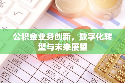 南湖公积金业务创新，数字化转型与未来展望