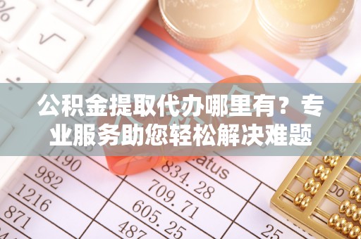南湖公积金提取代办哪里有？专业服务助您轻松解决难题