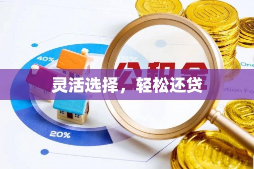 南湖灵活选择，轻松还贷