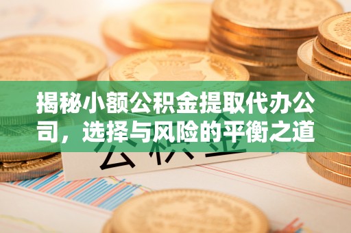 南湖揭秘小额公积金提取代办公司，选择与风险的平衡之道