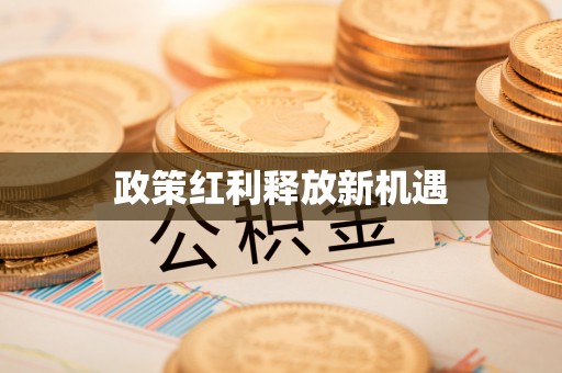 南湖政策红利释放新机遇