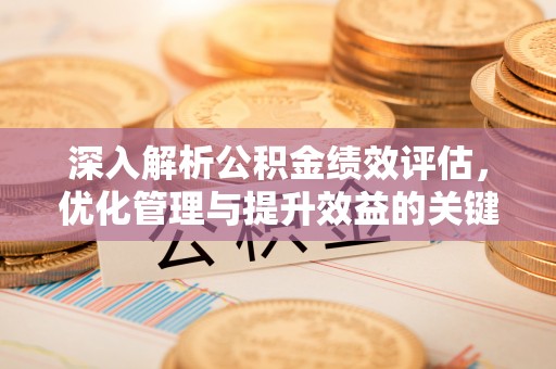南湖深入解析公积金绩效评估，优化管理与提升效益的关键路径