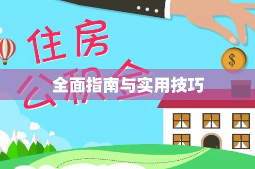 南湖全面指南与实用技巧