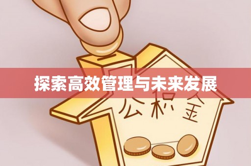 南湖探索高效管理与未来发展